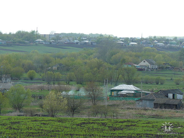 Село Козловка Терновского района Воронежской области.