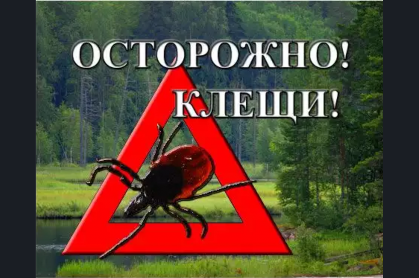 Осторожно – клещи! Памятка для детей и взрослых.