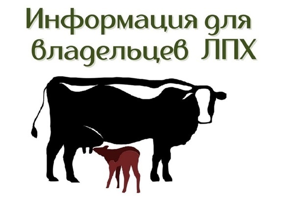 Отсутствие зарегистрированного лицевого счета в ЭПК повлечет за собой отказ.