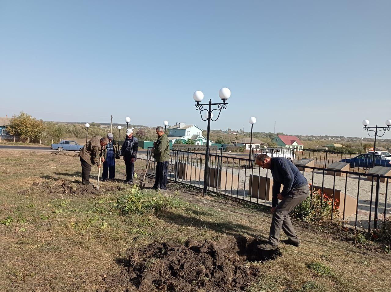 Активисты ТОС &quot;Центральный&quot; высадили на территории памятника молодые саженцы голубой ели..