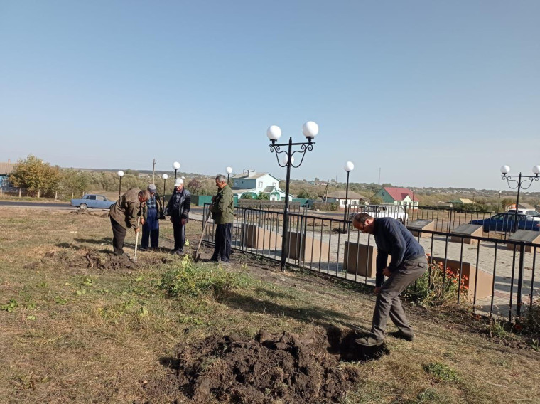 Активисты ТОС "Центральный" высадили на территории памятника молодые саженцы голубой ели.. Активисты ТОС "Центральный" высадили на территории памятника молодые саженцы голубой ели..